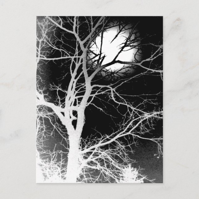 Moonlight Vykort (Framsida)