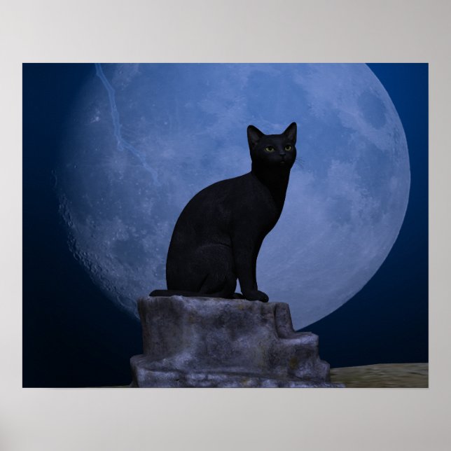 Moonlit Cat Poster (Framsidan)