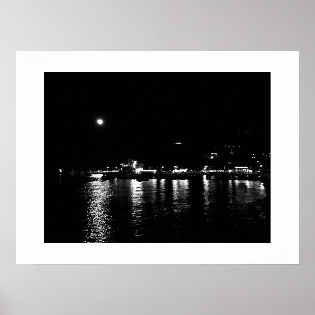 Moonlit Reflection Black and White Photography Poster (Framsidan)