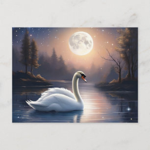 Moonlit Svan Vykort