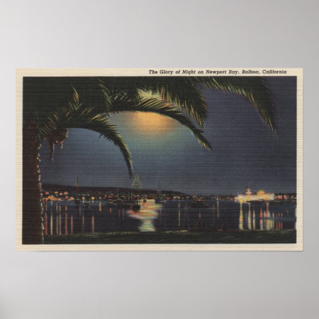 Moonlit View of Newport Bay Poster (Framsidan)