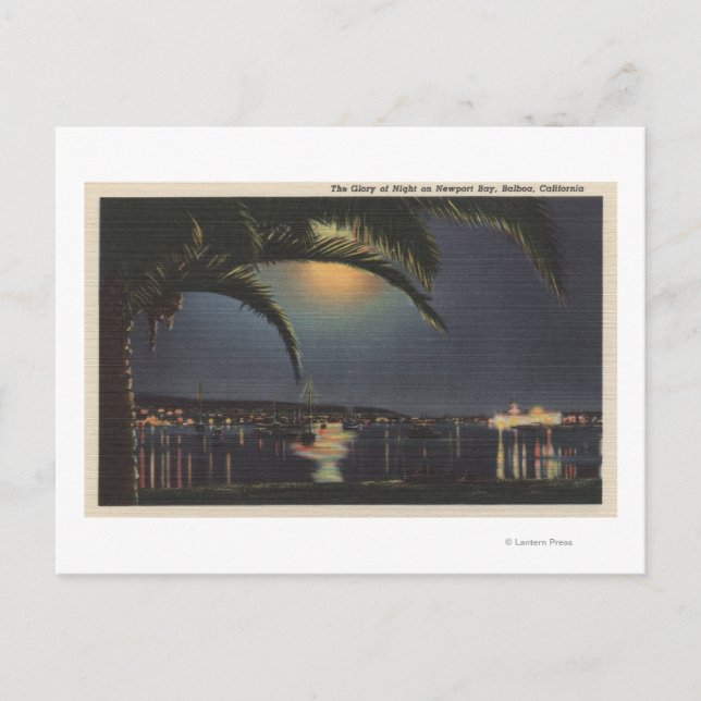 Moonlit View of Newport Bay Vykort (Framsida)