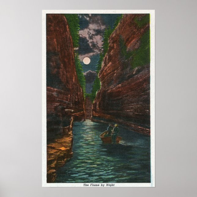 Moonlit-vy av blomman poster (Framsidan)