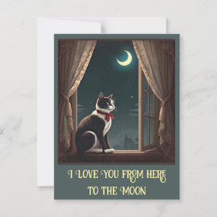 "MOONLIT WHISKERS" VYKORT