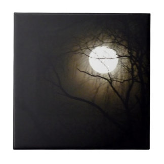 Moonrise belägger med tegel kakelplatta