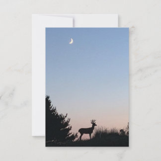 Moonrise Magic Blank Greeting Card Kort