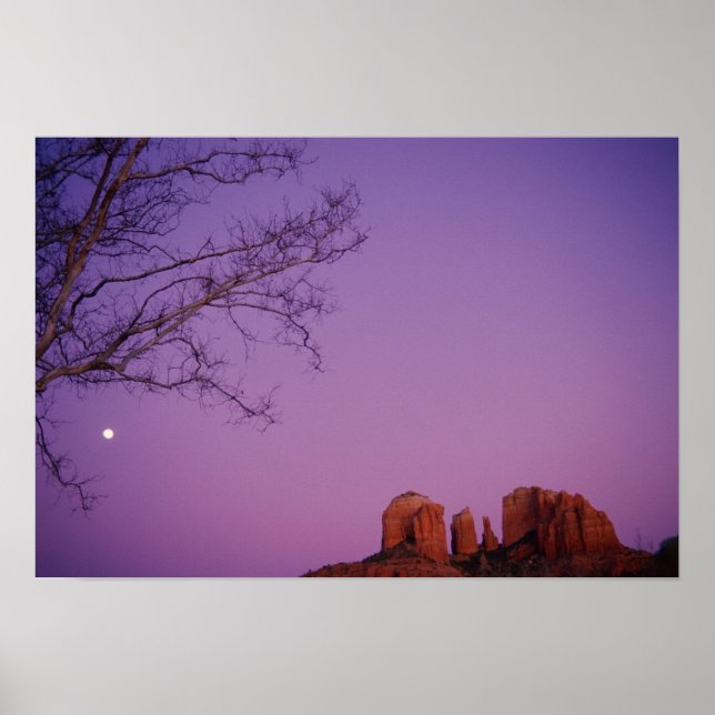 Moonrise over Oak Bäck Canyon Poster (Framsidan)