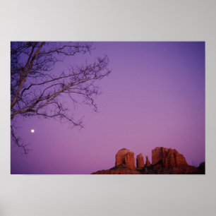 Moonrise över Oakbäckkanjonen Poster