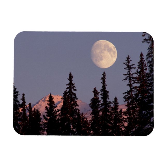 Moonrise Tidigt Winter | Anchorage, Alaska Magnet (Horisontell)