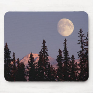 Moonrise Tidigt Winter   Anchorage, Alaska Musmatta