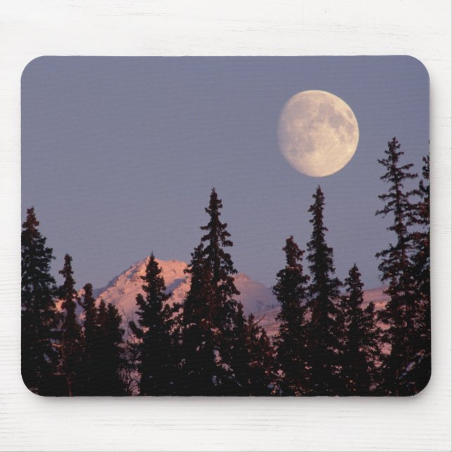 Moonrise Tidigt Winter | Anchorage, Alaska Musmatta (Framsidan)