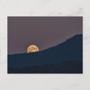 MOONRISE VYKORT