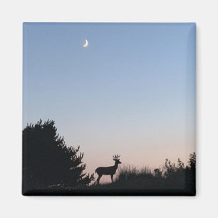 Moonrisemagimagnet Magnet