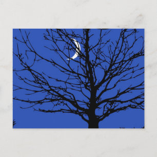 Moonscape i Cobalt Blue och Black Vykort