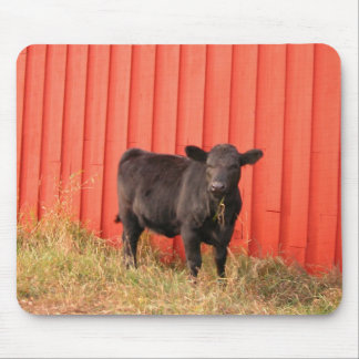 Mooooo Musmatta