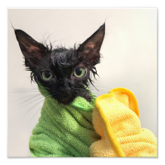 Moop, efter bad fototryck