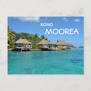 Moorea bungalower med text: "xoxoMoorea" vykort