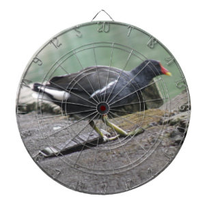 Moorhen Dart Board Darttavla