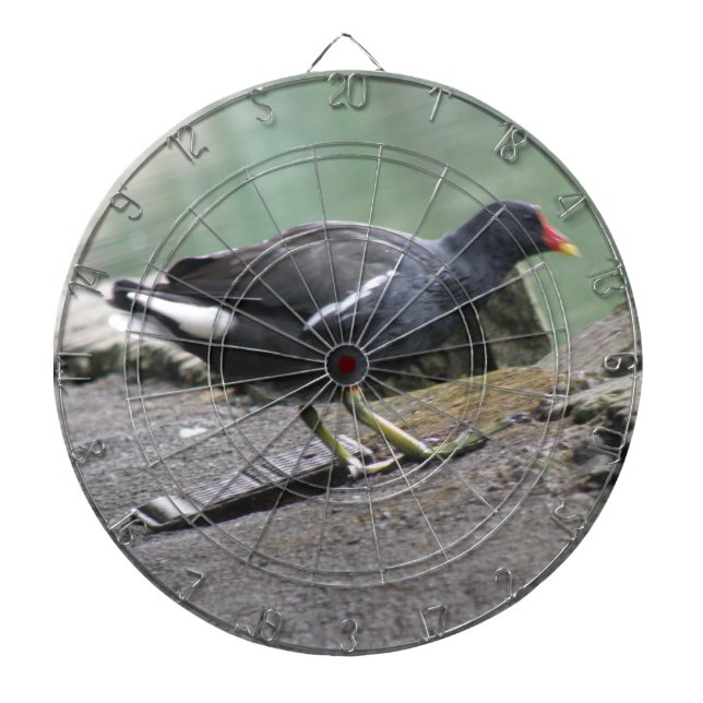 Moorhen Dart Board Darttavla (Framsidan)