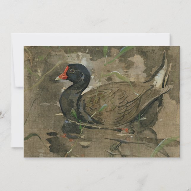 Moorhen | Joseph Crawhall (Framsida)