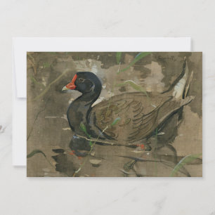 Moorhen Joseph Crawhall