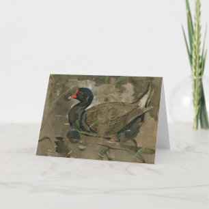 Moorhen Joseph Crawhall Kort
