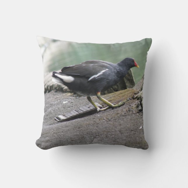 Moorhen Pillow Kudde (Framsida)