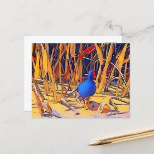 Moorhen Postcard Vykort