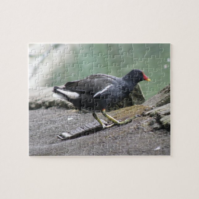 Moorhen Puzzle Pussel (Horisontell)