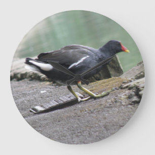 Moorhen Wall Clock Stor Klocka