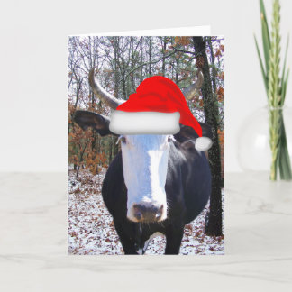 Moorry jul från det vackra Heifer Cow Card Helgkort