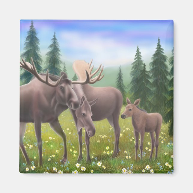 Moos i en nordlig skog magnet (Framsidan)