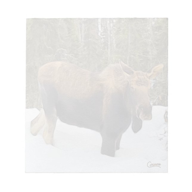 Moose - 5,5 tum x 6 tum Anteckningsblock (Framsida)