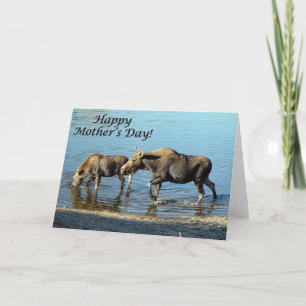 Moose and Calf "Lycklig Mors dag"-kort Kort