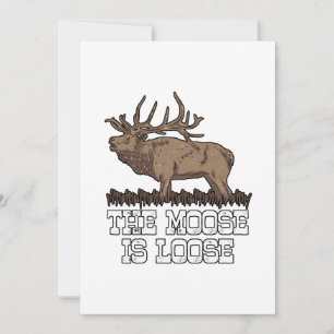Moose är löst tack kort