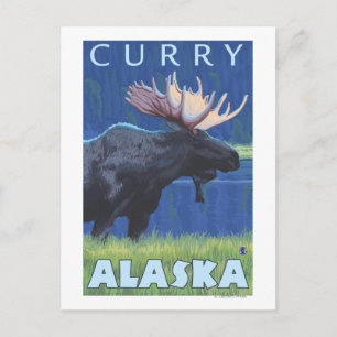 Moose at Night - Curry, Alaska Vykort