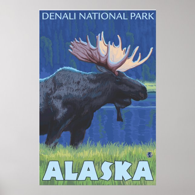 Moose at Night - Denali Nat'l Park, Alaska Poster (Framsidan)