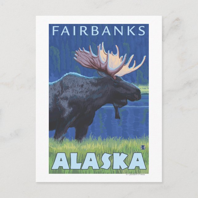 Moose at Night - Fairbanks, Alaska Vykort (Framsida)