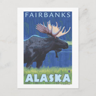 Moose at Night - Fairbanks, Alaska Vykort