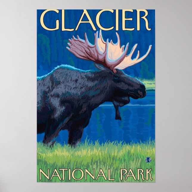 Moose at Night - Glacier National Park, MT Poster (Framsidan)