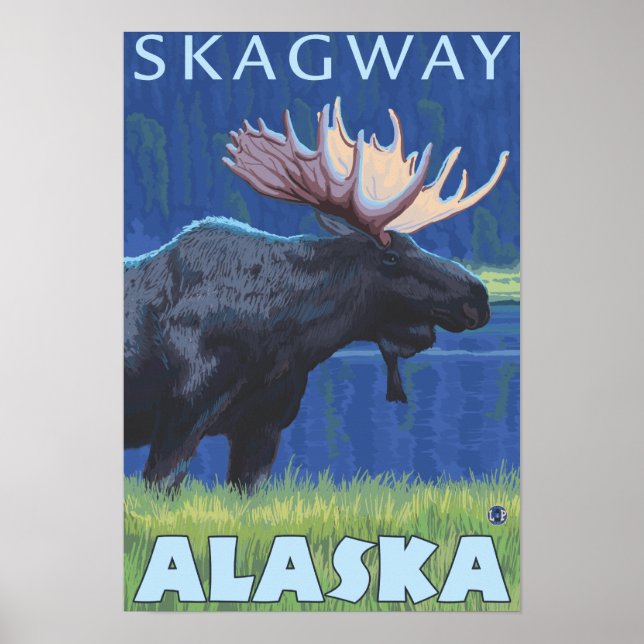 Moose at Night - Skagway, Alaska Poster (Framsidan)