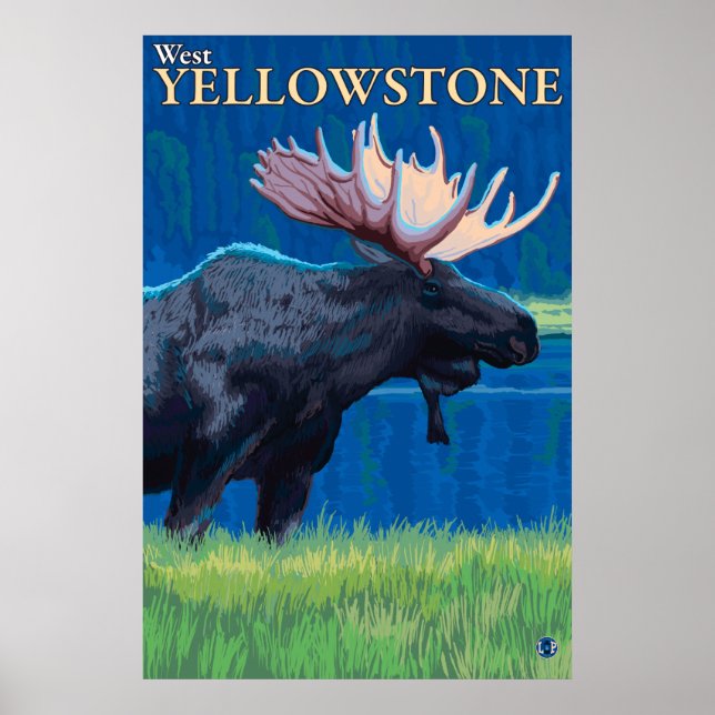 Moose at Night - Väster Yellowstone, Montana Poster (Framsidan)
