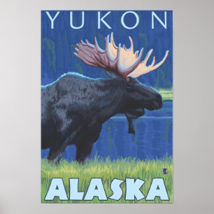Moose at Night - Yukon, Alaska Poster