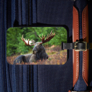 Moose Bagagebricka