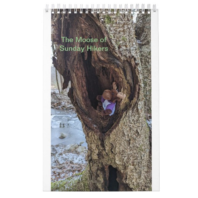 Moose Calendar Kalender (Omslag)