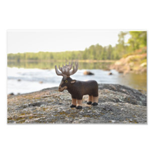 Moose Camping Photo Print Fototryck