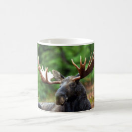 Moose Coffee Mugg