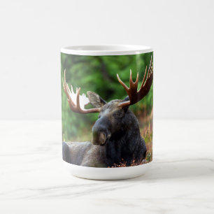 Moose Coffee Mugg