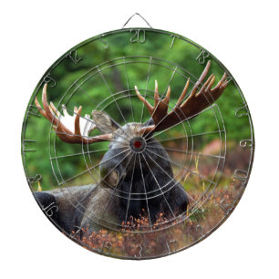 Moose Darttavla