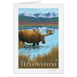 Moose Drinking at Sjö - Väster Yellowstone, MT Hälsningskort
